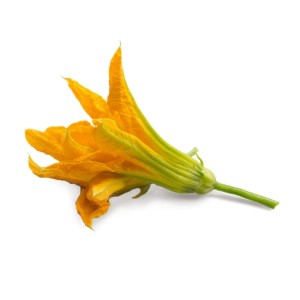Media.Product.ImageAlternateTextFormat